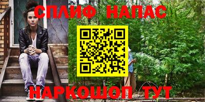 сатива Кулебаки