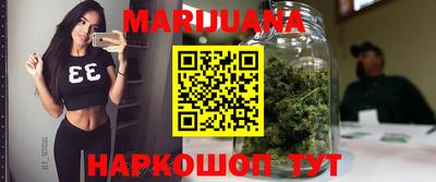 крисы Кунгур
