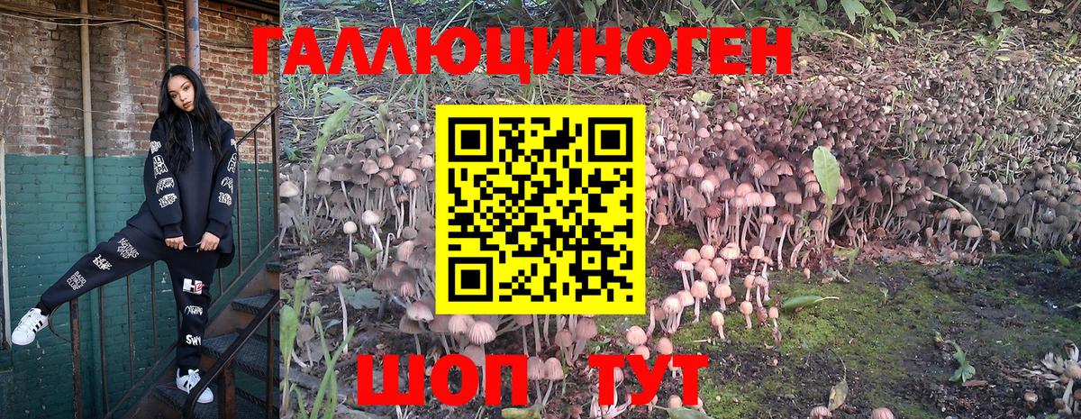 Псилоцибиновые грибы мухоморы  Галлюциногенные грибы мицелий  Хабаровск  Вход с VPN 