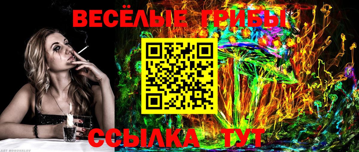 Псилоцибиновые грибы Psilocybe Хабаровск